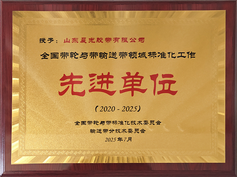 2025-07全国带轮与带输送带领域先进单位