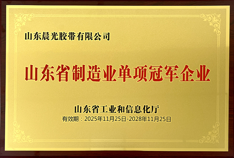 2025-11-25山东省制造业单项冠军